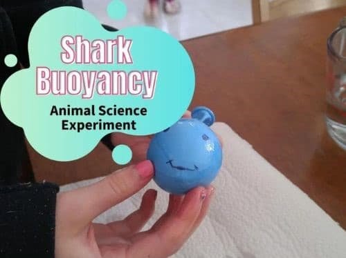 science experiments