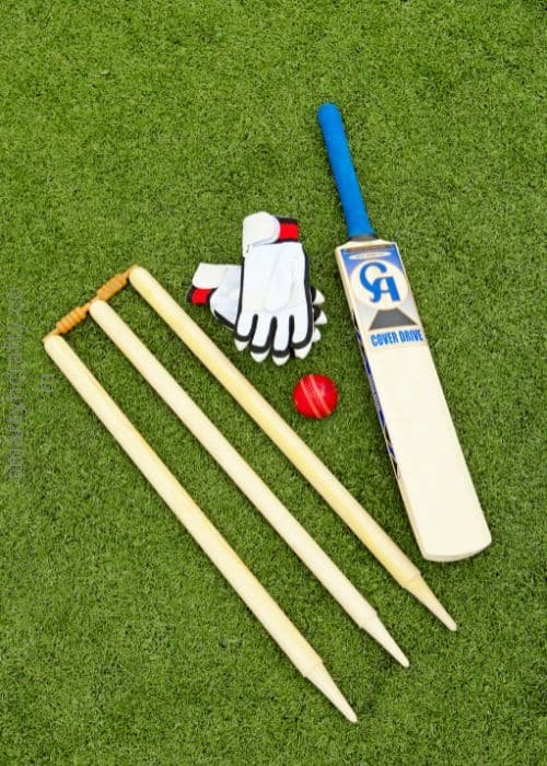 Bat and Ball Set