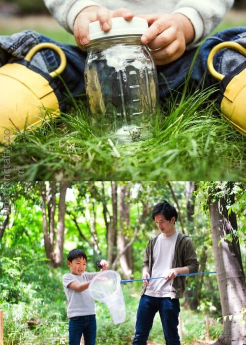 Bug-Catching Kit