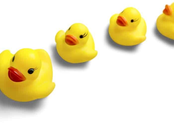 Duck Toy