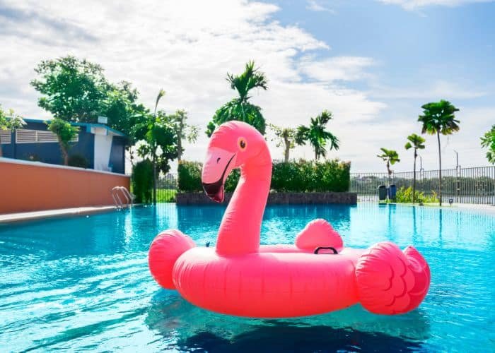 Flamingo pool float