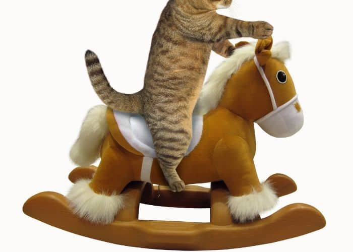 Horse riding toy
