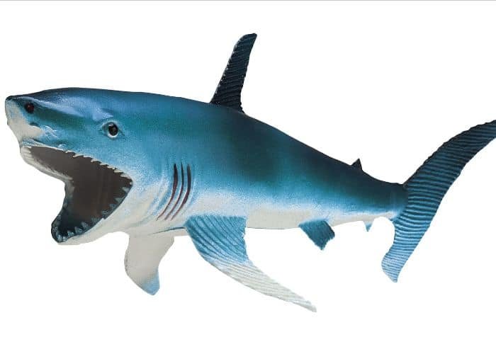 Shark Toy