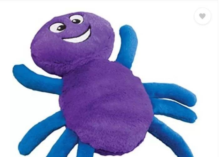 itsy bitsy spider