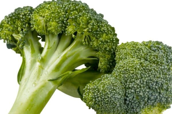 Broccoli