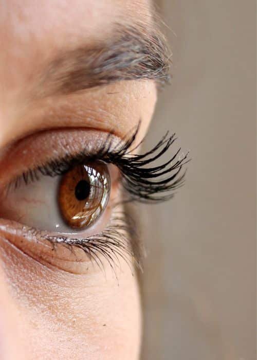 Eye