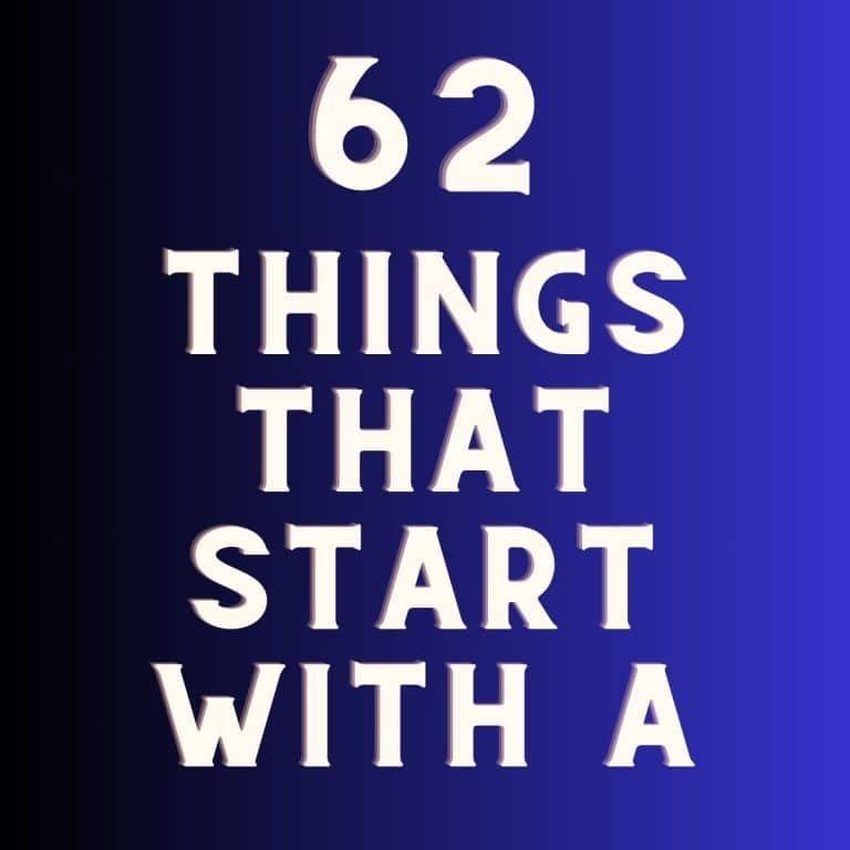 Things that start with A
