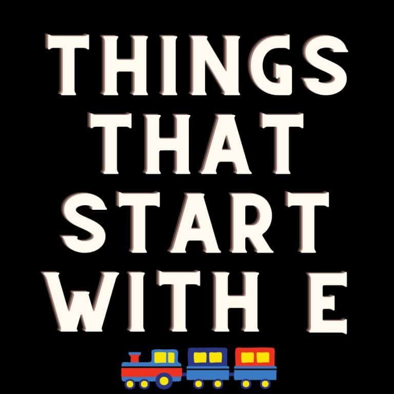 Things that start with E