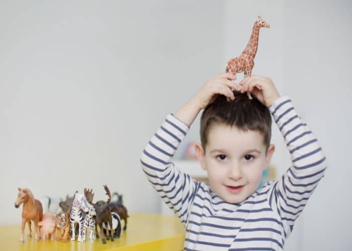 Wild Animal Figures