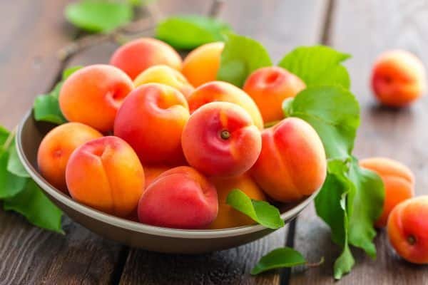 apricot