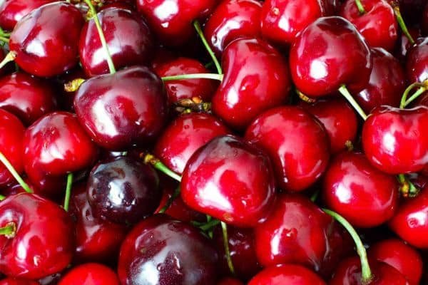 cherry 
