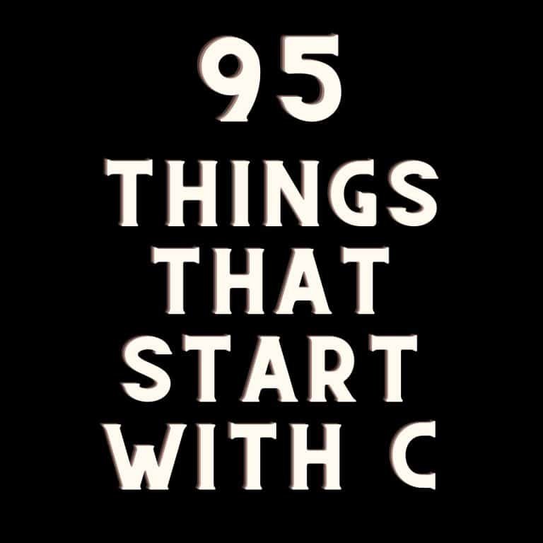 things that start with C