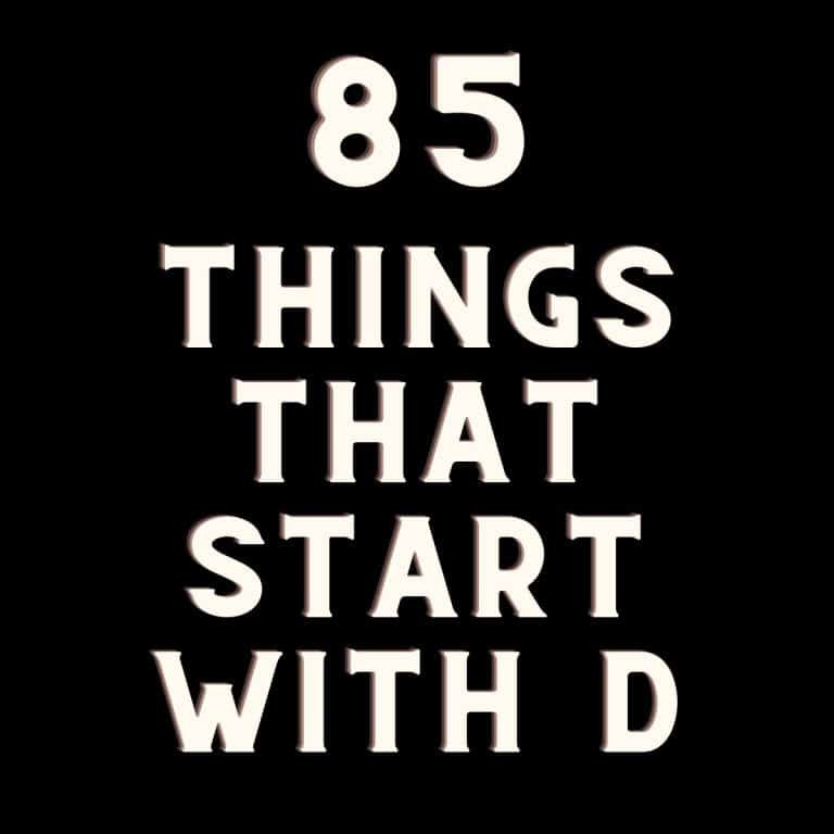 things that start with D