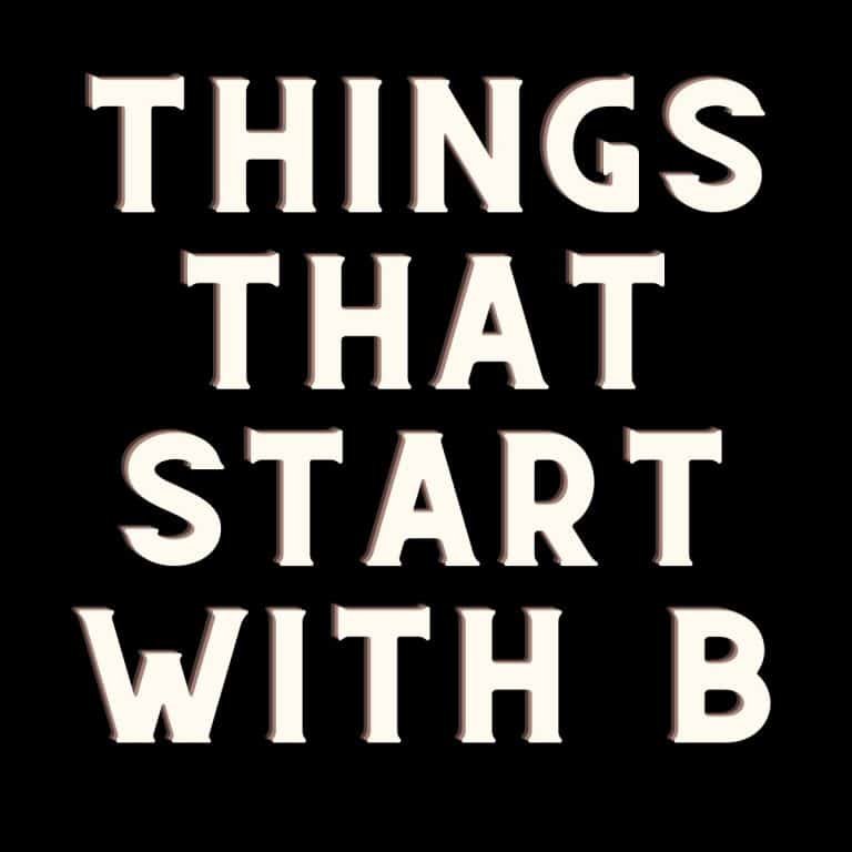 things that start with B