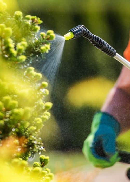 Fertilizer