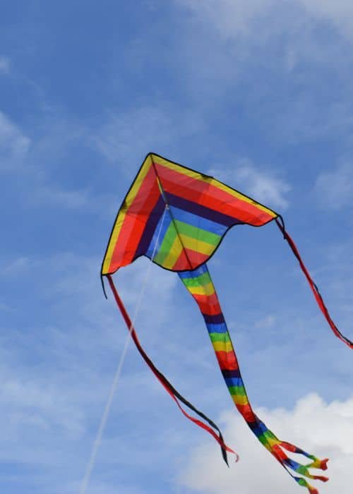 Kite