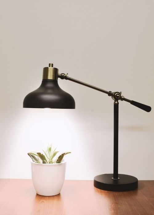 Lamp