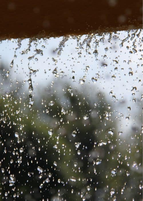 Monsoon