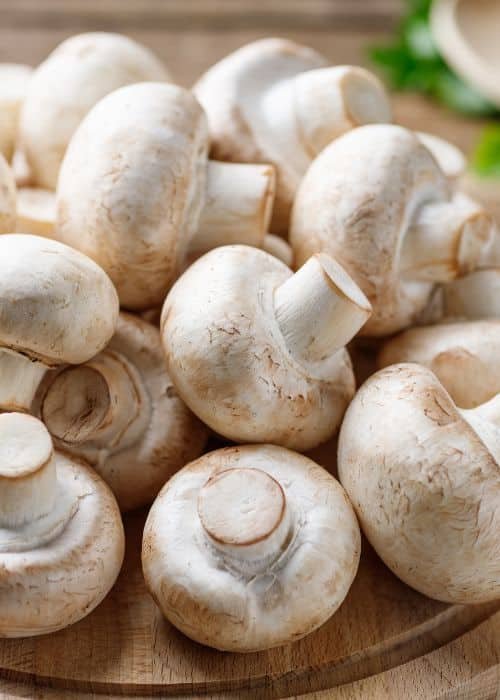 Mushroom