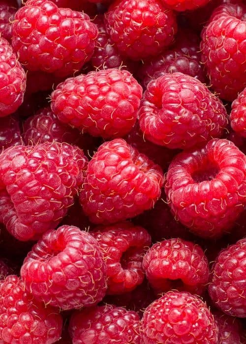 Raspberry