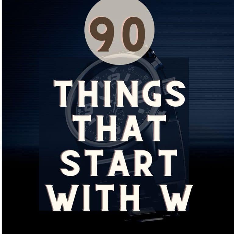 Things That start with W