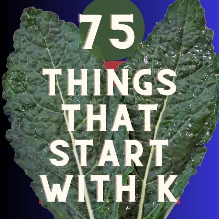 Things that Start with K