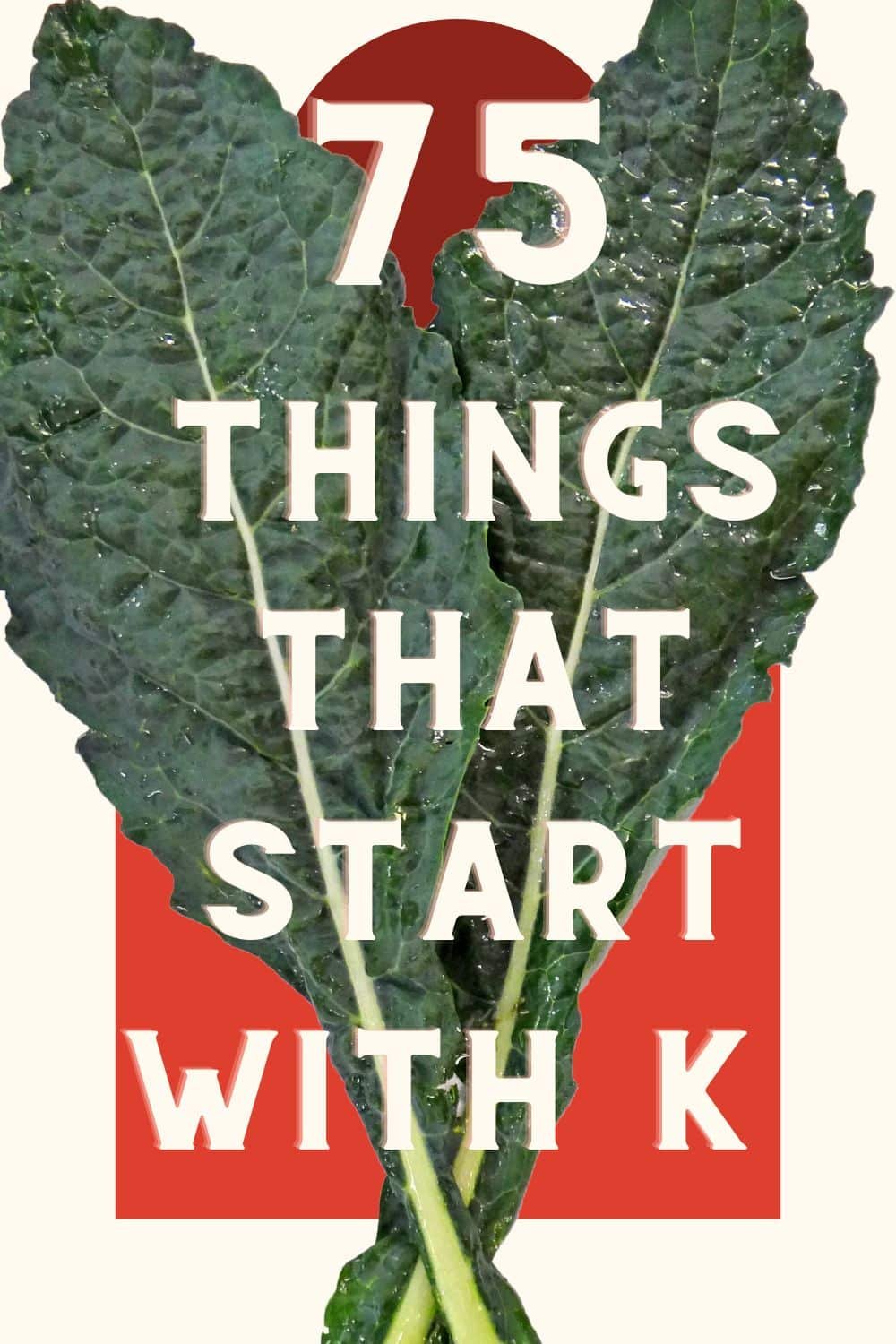 Things that Start with K