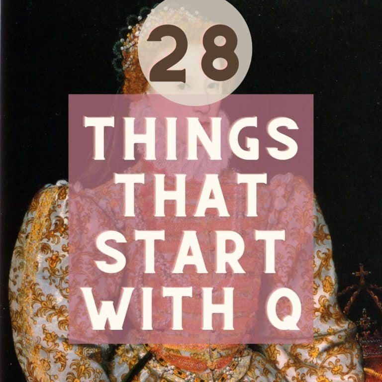 Things that Start with Q