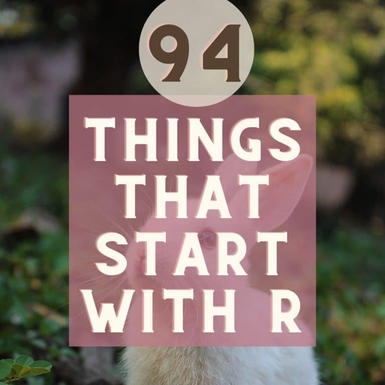 Things that Start with R