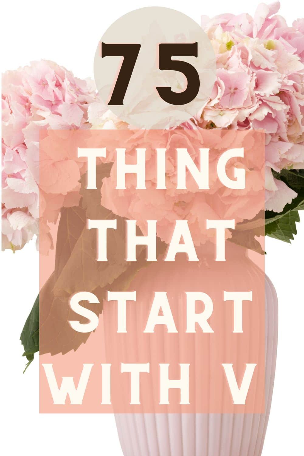 Things that Start with V