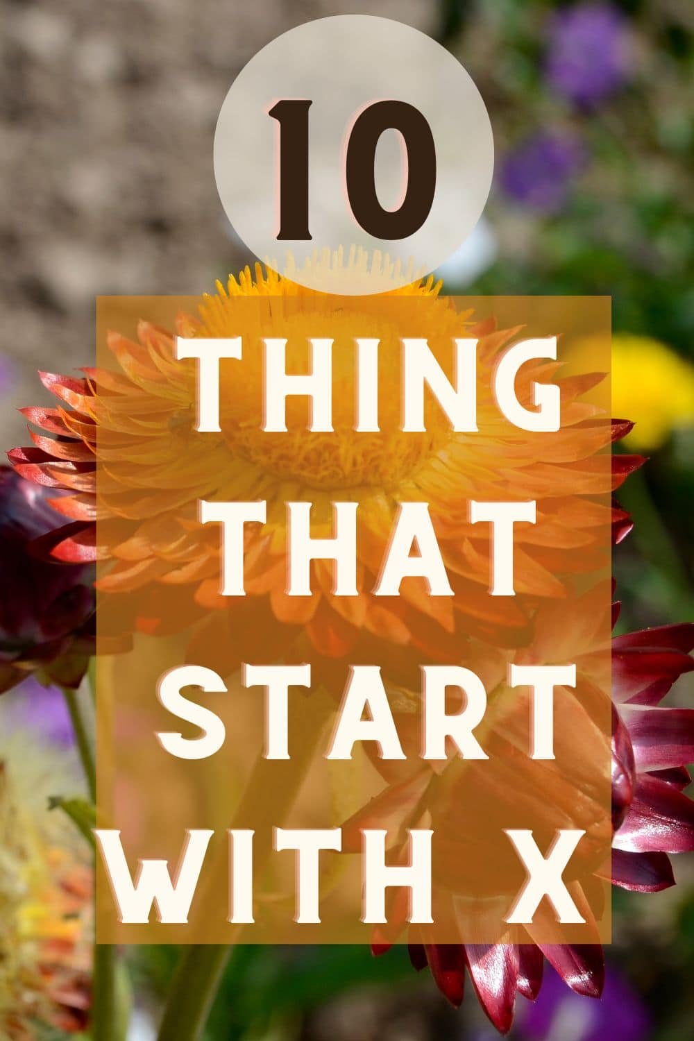 Things that Start with X