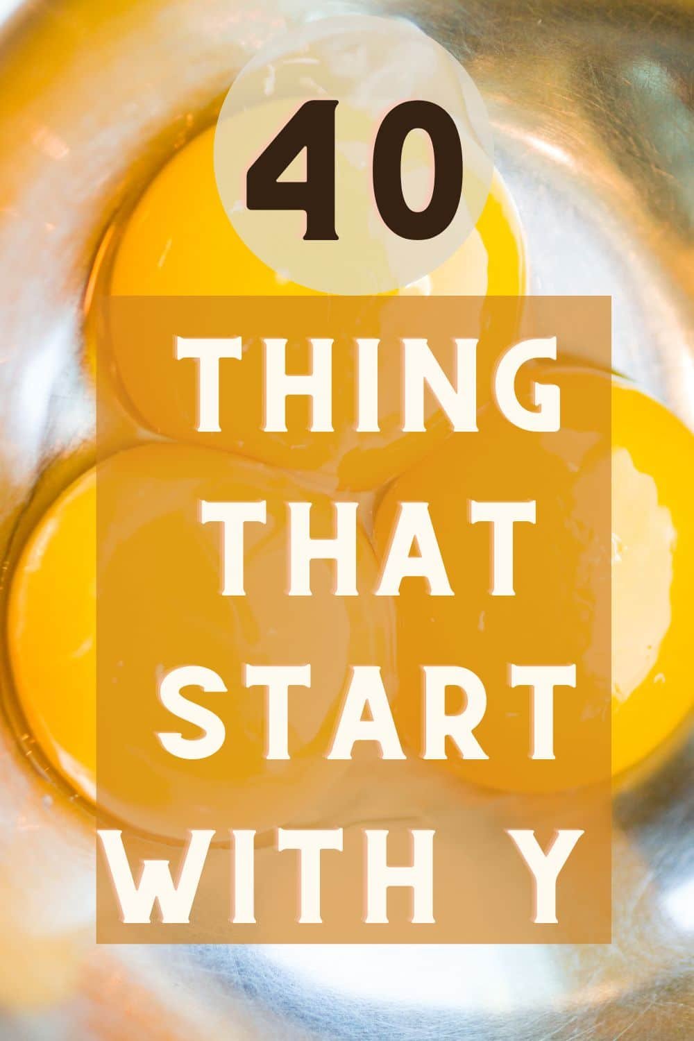 Things that Start with Y
