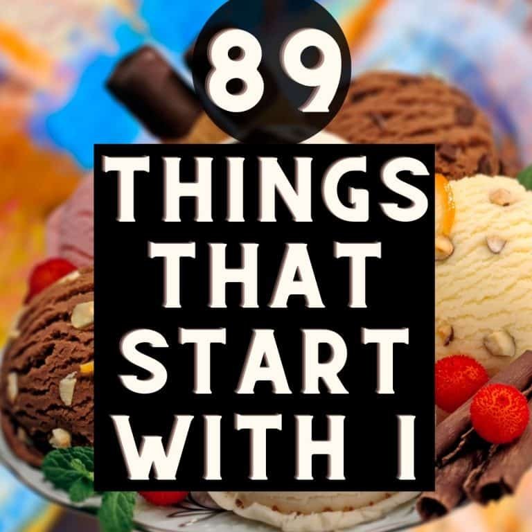 Things that start with I