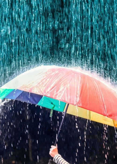Umbrella
