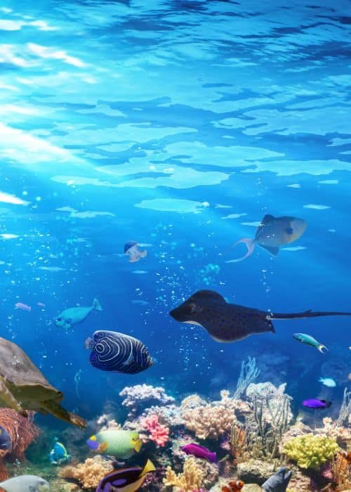 Underwater