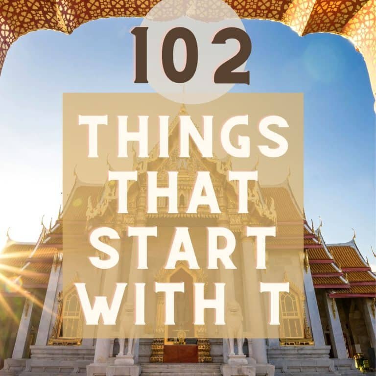 things that start with T