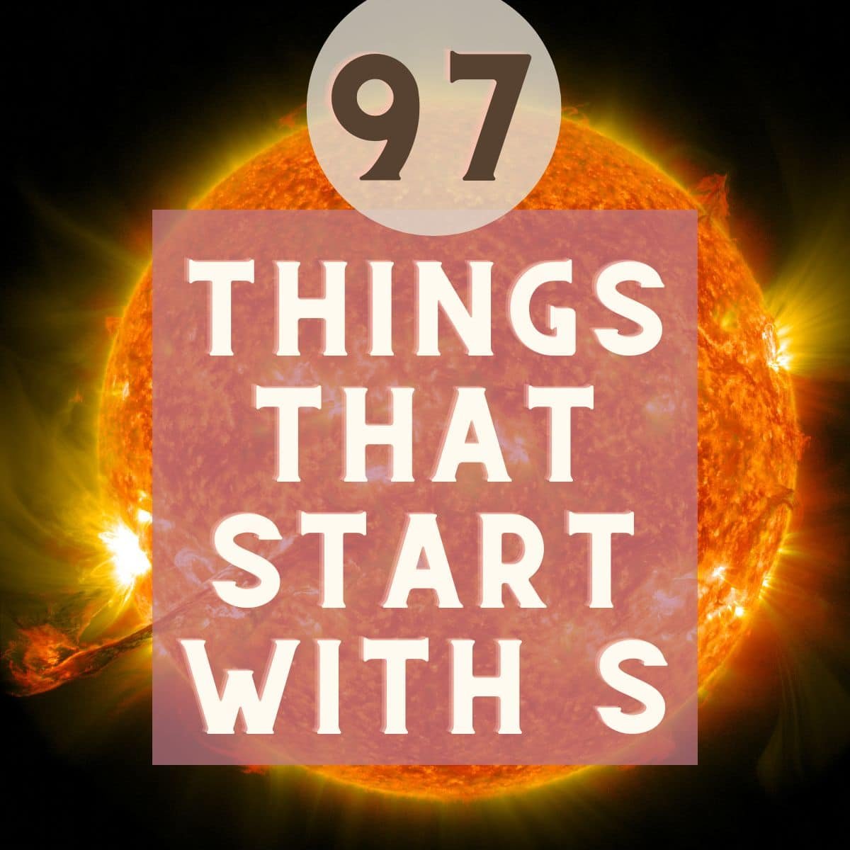 things that start with the letter 'S'