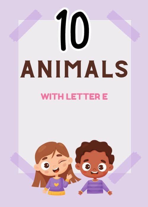 Show and Tell Letter E