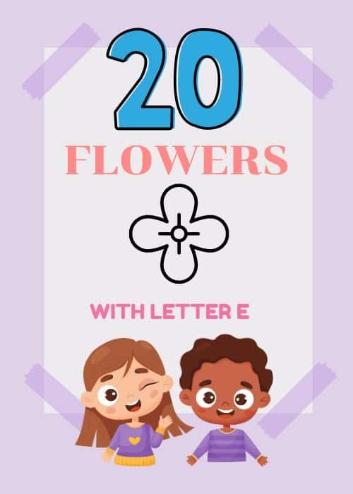 Show and Tell Letter E