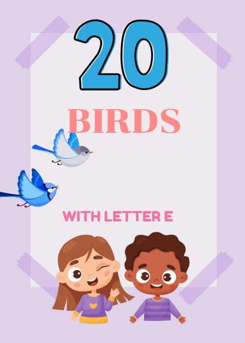 Show and Tell Letter E
