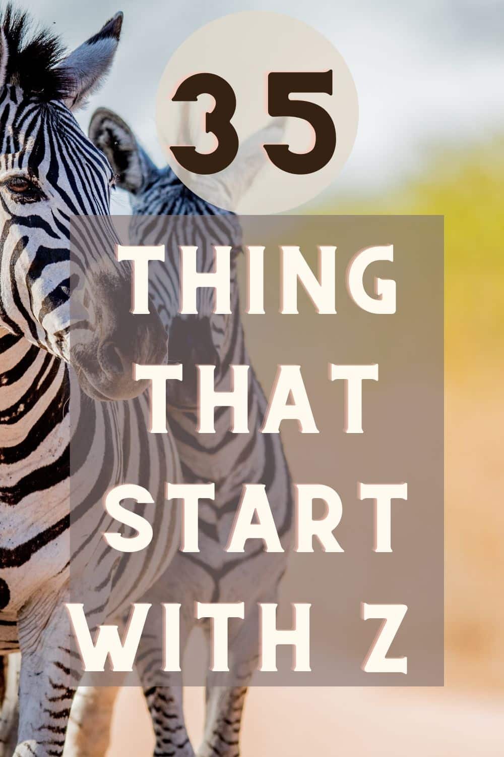 Things that Start with Z