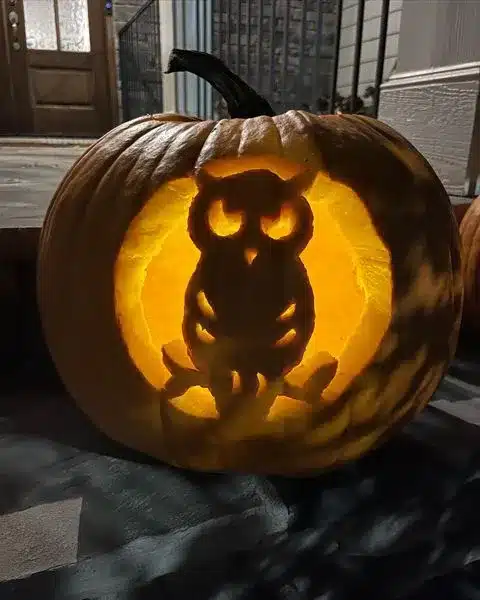 Owl Pumpkin Carving Ideas