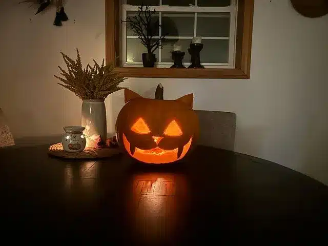 Peek-a-Boo Kitty Pumpkin Carving Ideas