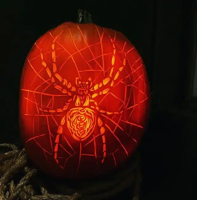 Spider Web Pumpkin Carving Ideas
