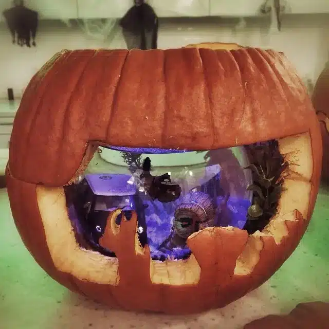 Fishbowl Pumpkin Carving Ideas