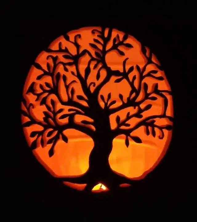  Tree Silhouette Pumpkin Carving Ideas